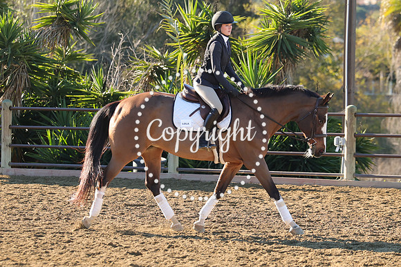 IMG_1772CRD1