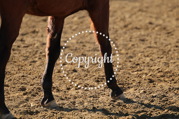 IMG_3045CRD1