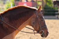 IMG_3047CRD1