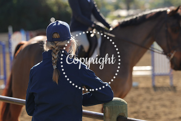 IMG_3052CRD1