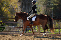 IMG_3049CRD1
