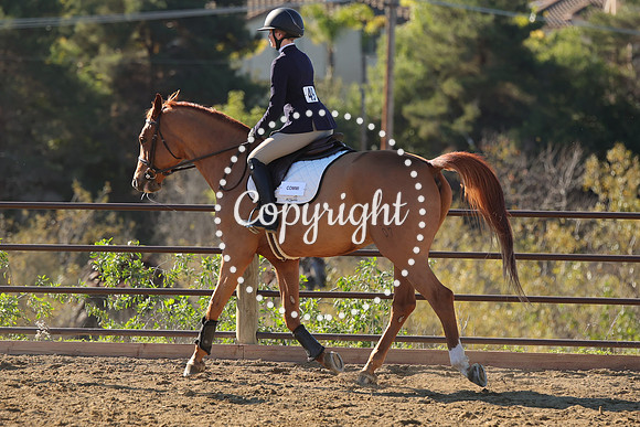 IMG_3075CRD1