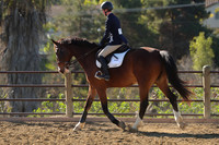 IMG_3069CRD1
