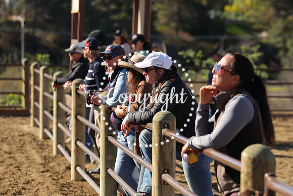 IMG_3086CRD1