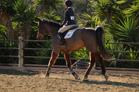IMG_3084CRD1
