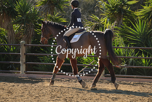 IMG_3084CRD1