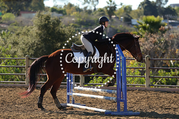 IMG_2114CRD1