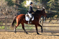 IMG_2116CRD1