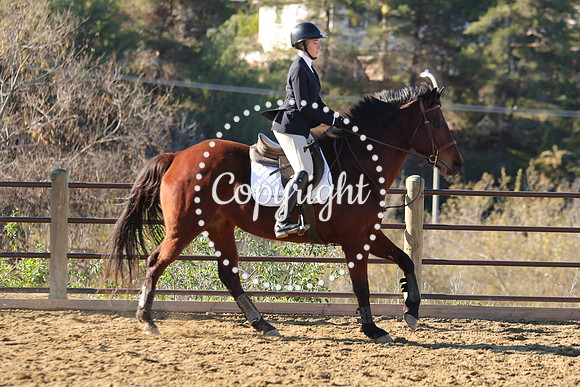 IMG_2116CRD1