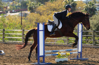 IMG_2123CRD1