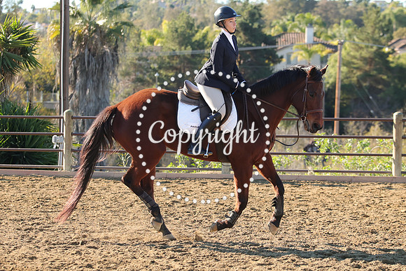 IMG_2156CRD1