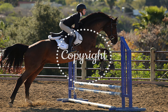 IMG_2740CRD1