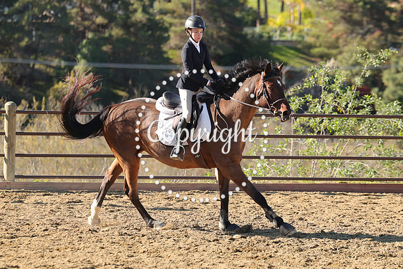 IMG_2752CRD1