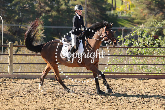 IMG_2751CRD1