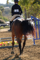 IMG_2769CRD1