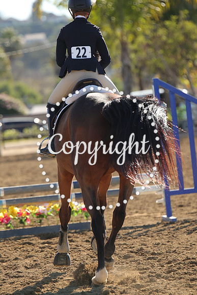 IMG_2769CRD1