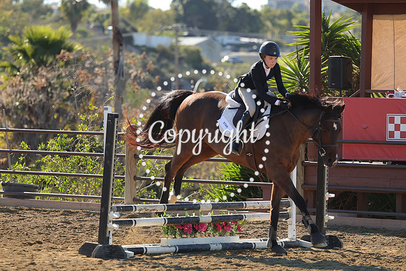 IMG_2775CRD1