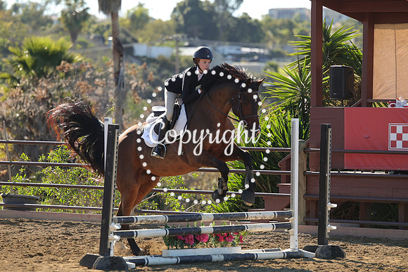 IMG_2771CRD1