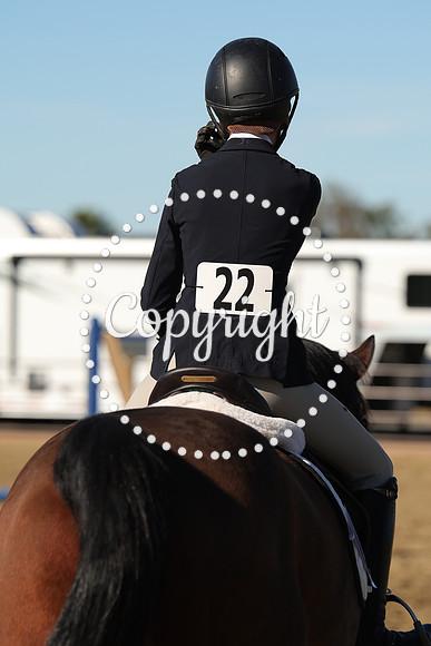 IMG_2791CRD1
