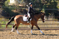 IMG_2948CRD1