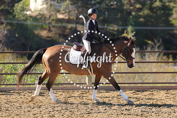 IMG_2948CRD1