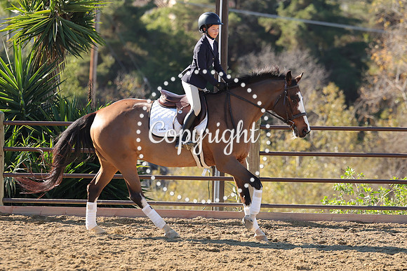 IMG_2942CRD1