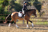 IMG_2943CRD1