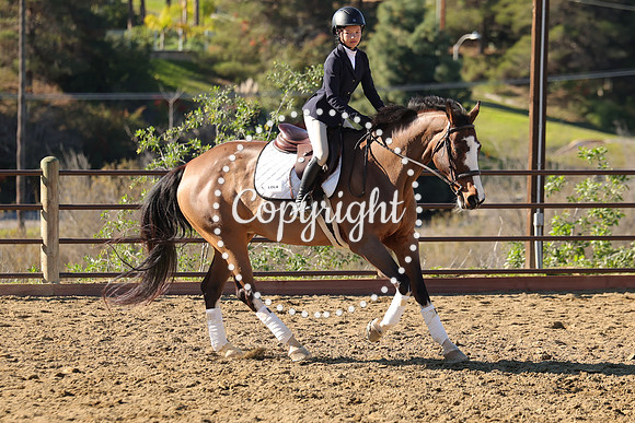 IMG_2956CRD1