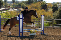 IMG_2965CRD1