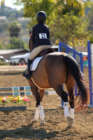 IMG_2973CRD1