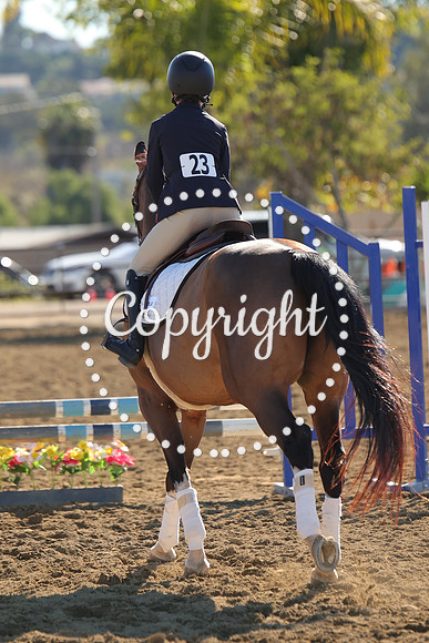 IMG_2973CRD1