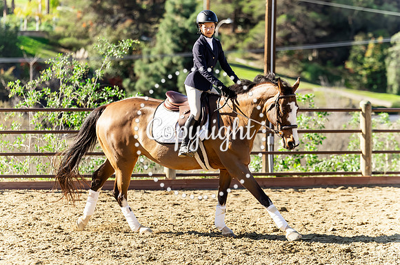 IMG_2959CRD1
