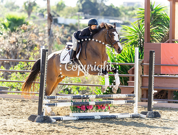 IMG_2982CRD1