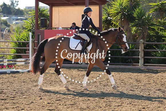 IMG_3001CRD1