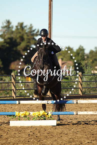 IMG_1257CRD1
