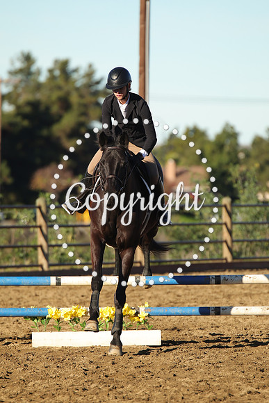 IMG_1261CRD1