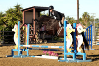 IMG_1263CRD1