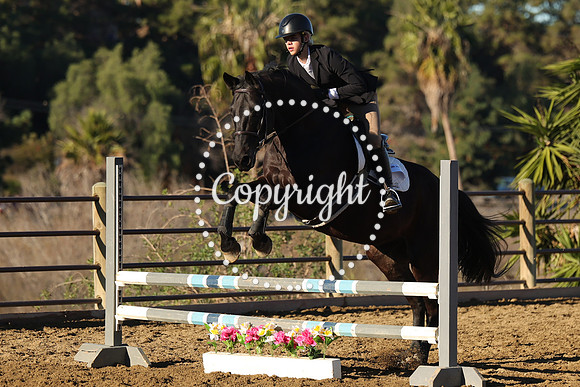 IMG_1274CRD1