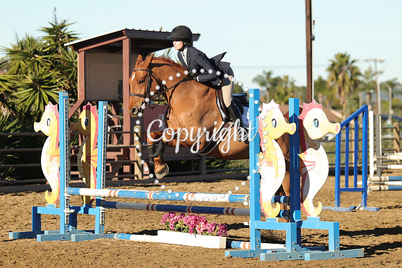 IMG_1316CRD1