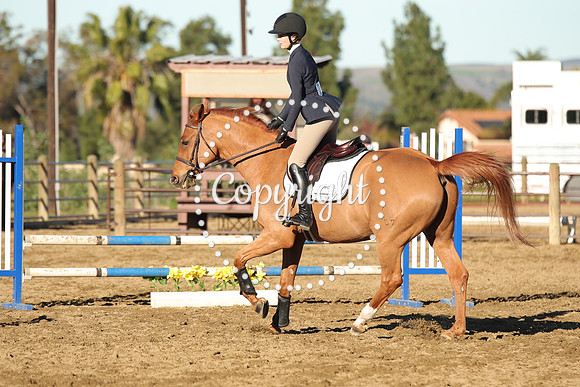 IMG_1324CRD1
