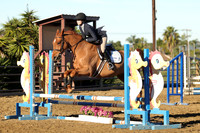 IMG_1317CRD1