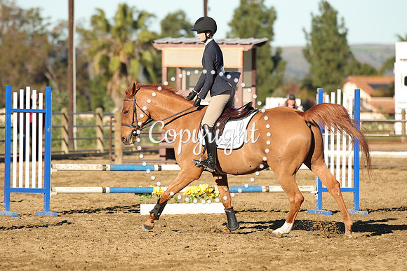IMG_1326CRD1