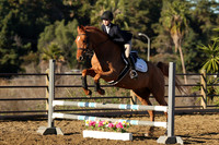 IMG_1329CRD1