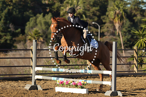 IMG_1329CRD1
