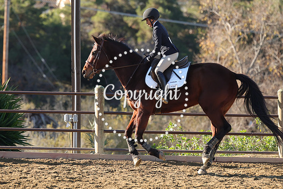 IMG_1689CRD1