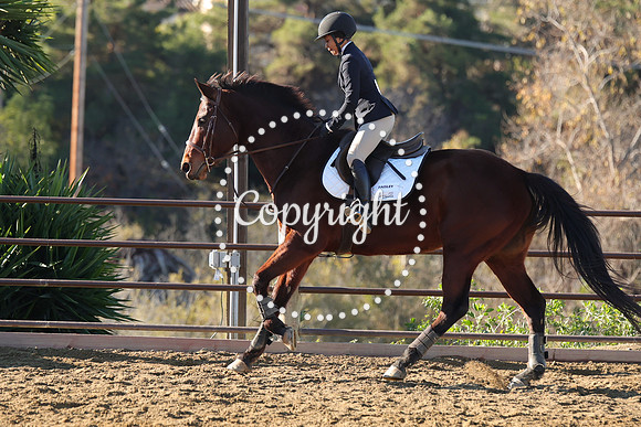 IMG_1691CRD1