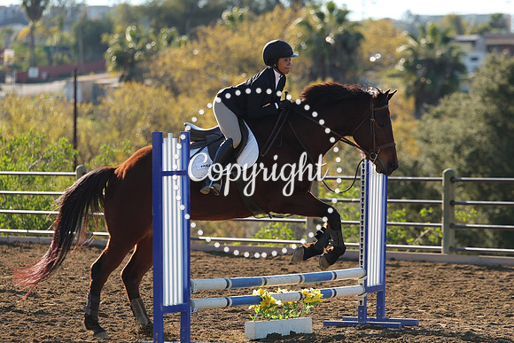IMG_1699CRD1
