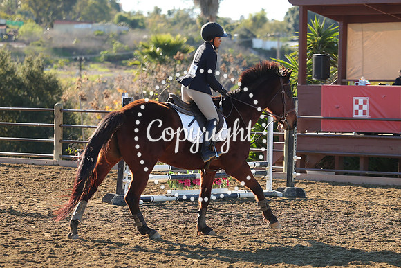 IMG_1714CRD1
