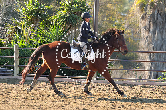 IMG_1719CRD1