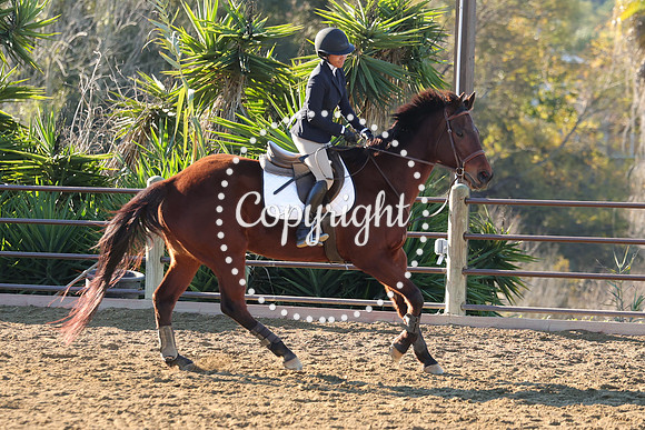 IMG_1716CRD1